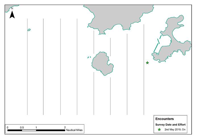A close up of a map

Description automatically generated