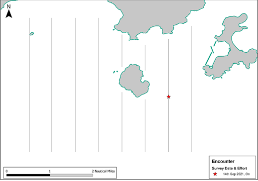 Diagram
Description automatically generated with medium confidence