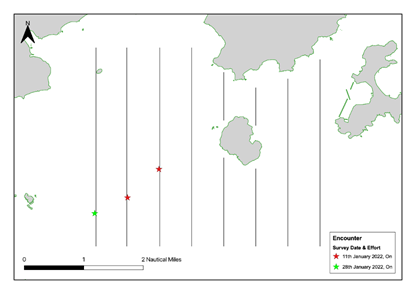 Chart
Description automatically generated