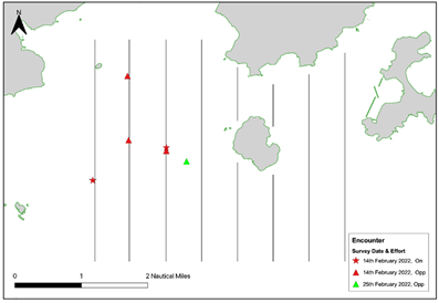 Chart
Description automatically generated