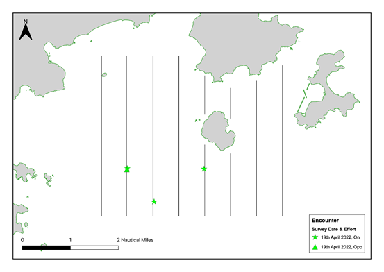 A picture containing diagram
Description automatically generated