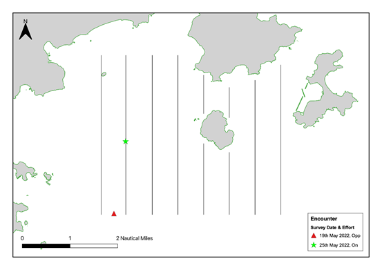 A picture containing diagram
Description automatically generated