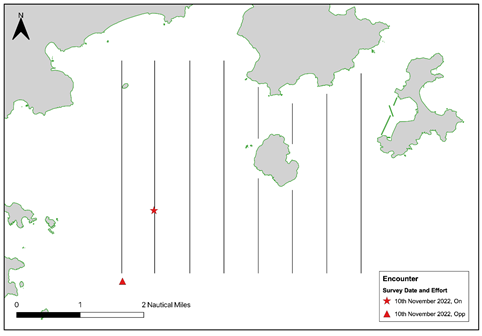 A picture containing diagram
Description automatically generated
