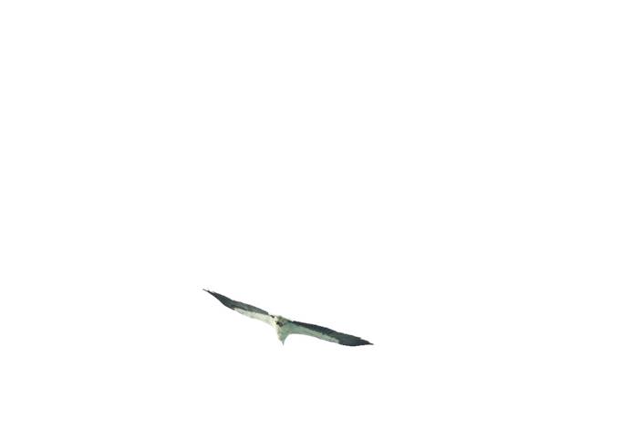 BB0H9405