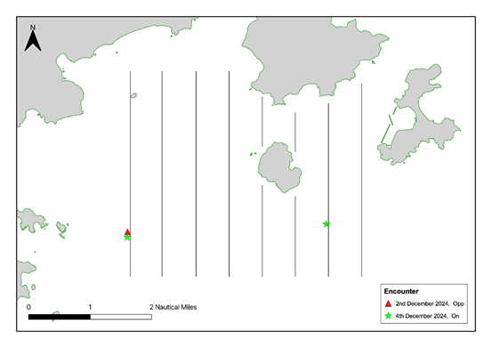 A map of the world
Description automatically generated