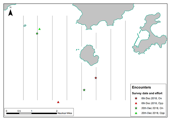 A close up of a map
Description automatically generated