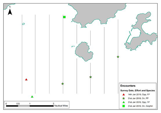 A close up of a map
Description automatically generated