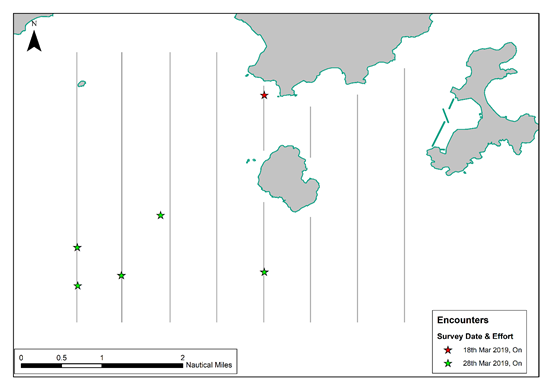A close up of a map
Description automatically generated