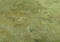 A close up of some water

Description automatically generated with low confidence