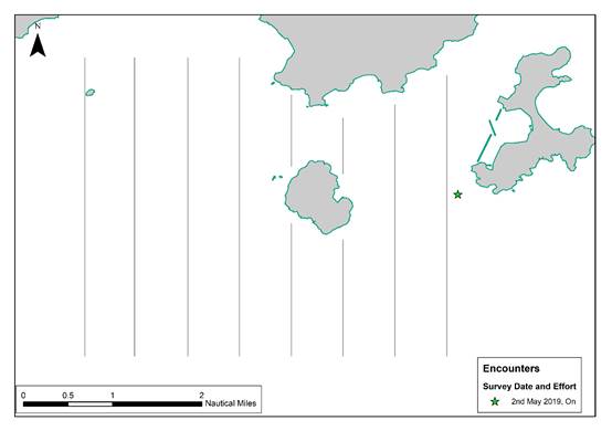 A close up of a map
Description automatically generated