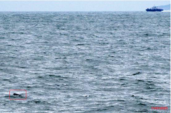 A close-up of a body of water
Description automatically generated with medium confidence