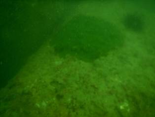 DSCN0743