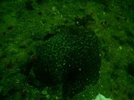 DSCN0810