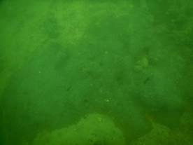 DSCN0628
