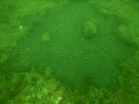 DSCN0637