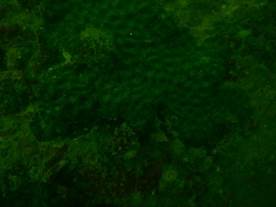 DSCN0693