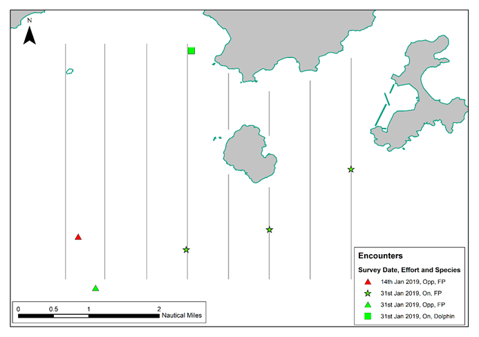 A close up of a map

Description automatically generated
