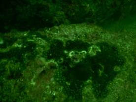 DSCN0780