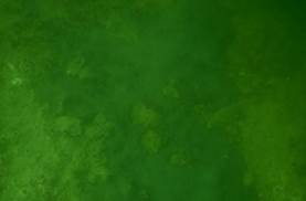 DSCN0719