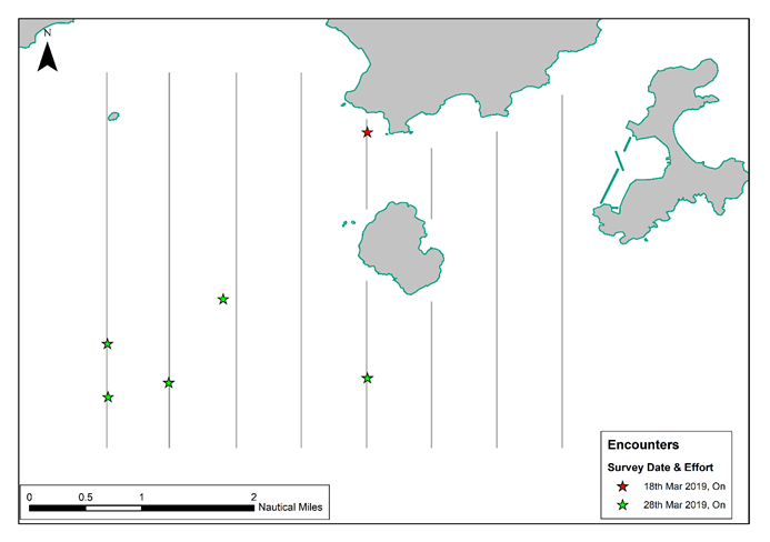 A close up of a map

Description automatically generated