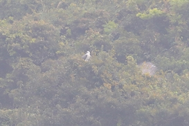 AJ2I0346
